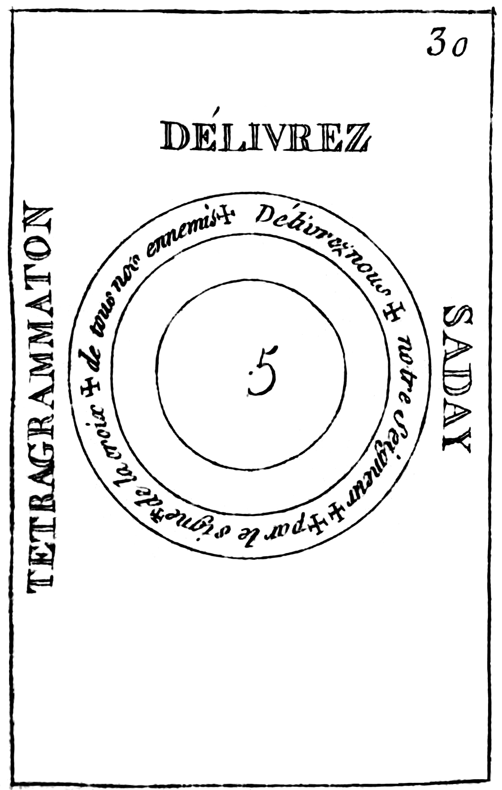Plate 8.